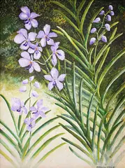 Francisco Verano, Orchids, Oil on canvas
