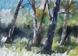 Lino Severino, Trees