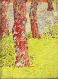 Ibarra dela Rosa, Trees