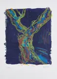 Bernd Zimmer, Baum, 1986, Mappe mit 1 Farblithografie auf BFK RIVES (Wasserzeichen)