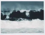 Rosemarie Trockel, Ohne Titel