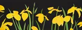 Alex Katz, Yellow Flags II, 2018, Archival Pigment Print auf leichtem Karton