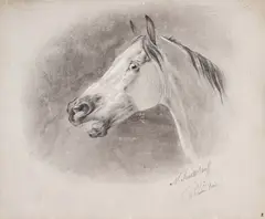 Nikolaj Egorovic Svertchkov, Pferdekopf, Bleistift, weiß gehöht auf Papier