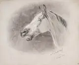 Nikolaj Egorovic Svertchkov, Pferdekopf, Bleistift, weiß gehöht auf Papier