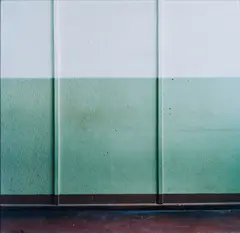 Ricarda Roggan, Wandstück, 2006, C-Print