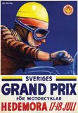Gustav Egron Leander, Sveriges Grand Prix för Motorcyklar Hedemora, 1954, poster