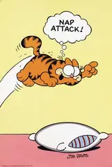 Jim Davis, Nap attack (Garfield), 1978, poster