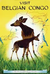 Miessen, Visit Belgian Congo, poster