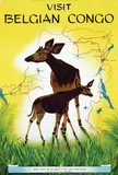 Miessen, Visit Belgian Congo, poster