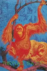 Daniel Stearns, This Place is a Zoo, 1985, poster