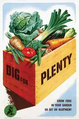 Le Bon, Dig for? Plenty, poster