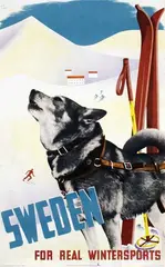 Anders Beckman, Sweden for real Wintersports, 1937, poster