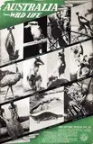 Initials D.J.F., Australia Wild Life, poster