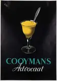 Jan Wijga, Cooymans Advocaat