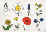 Dick Bruna, sneeuwklokje