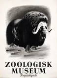 Aage Sikker Hansen, Zoologisk Museum Krystalgade, 1946, poster