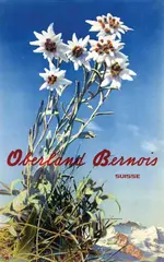 Albert Steiner, Oberland Bernois, 1940, poster