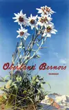 Albert Steiner, Oberland Bernois, 1940, poster