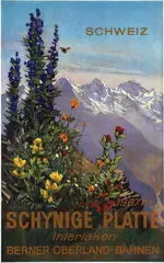 Hodel Ernst, Schweiz Schynige Platte Interlaken, 1952, poster