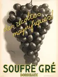 Léon Dupin, Soufre Gré, 1933, poster