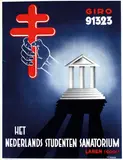 Nico Raemaekers, Het Nederlands Studenten Sanatorium, poster
