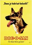 Jan Wijga, Dog-o-San