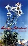 Albert Steiner, Berner Oberland, poster