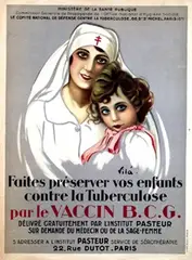 Emilio Vilà, Vaccin B.C.G., poster