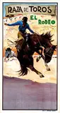 Carlos Ruanos Llopis, Plaza de Toros el Rodeo, poster