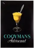 Jan Wijga, Cooymans Advocaat