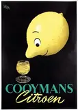 Jan Wijga, Cooymans Citroen