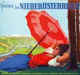 Mitschek, Ferien in Niederösterreich, poster