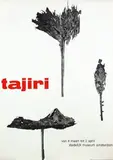 Pieter Brattinga, tajiri