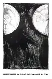 Jasper Johns, leo castelli Jasper Johns