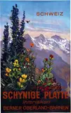 Ernst Hodel, Schynige Platte Interlaken, 1952, poster