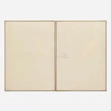 Luke Diiorio, Untitled LD#11 (diptych), 2013, oil and acrylic on canvas in artist's frames