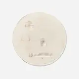 Robert Graham, Untitled, 1975, porcelain, painted plywood