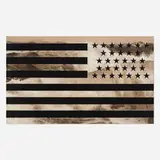 Tony de Los Reyes, Starts and Stripes, c. 2011, ink and oil on linen