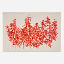 Andrew Millner, Red Rose II, 2011, acrylic on linen