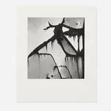 Brett Weston, Untitled (Abstraction), 1975, gelatin silver print