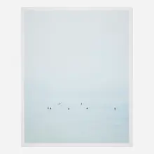 Catherine Opie, Surfer, 2003, C-print