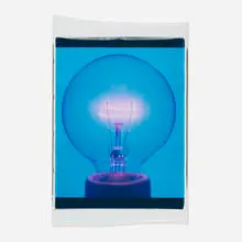 Amanda Means, Light Bulb 00032C (from the Color Polaroid series), 2001, Polaroid