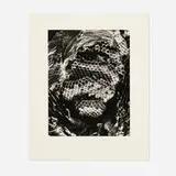 Andreas Feininger, Bee Comb, c. 1975, gelatin silver print