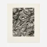 Andreas Feininger, Wasp Nest, c. 1975, gelatin silver print