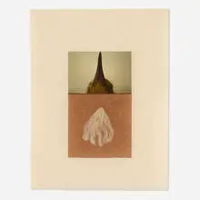 Ann Hamilton, seam, 2011, achival pigment print with gampi tissue, Asuka paper, cheesecloth, BEVA adhesive, cotton, silk and raw fleece