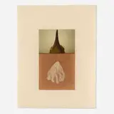 Ann Hamilton, seam