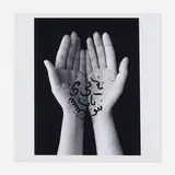 Shirin Neshat, Offerings