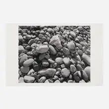 James Welling, Ellwood Beach 25, 2007, inkjet print