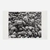 James Welling, Ellwood Beach 25, 2007, inkjet print