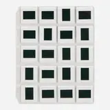 Tony Tasset, Untitled, 1993, green felt slides in plastic and glass mounts